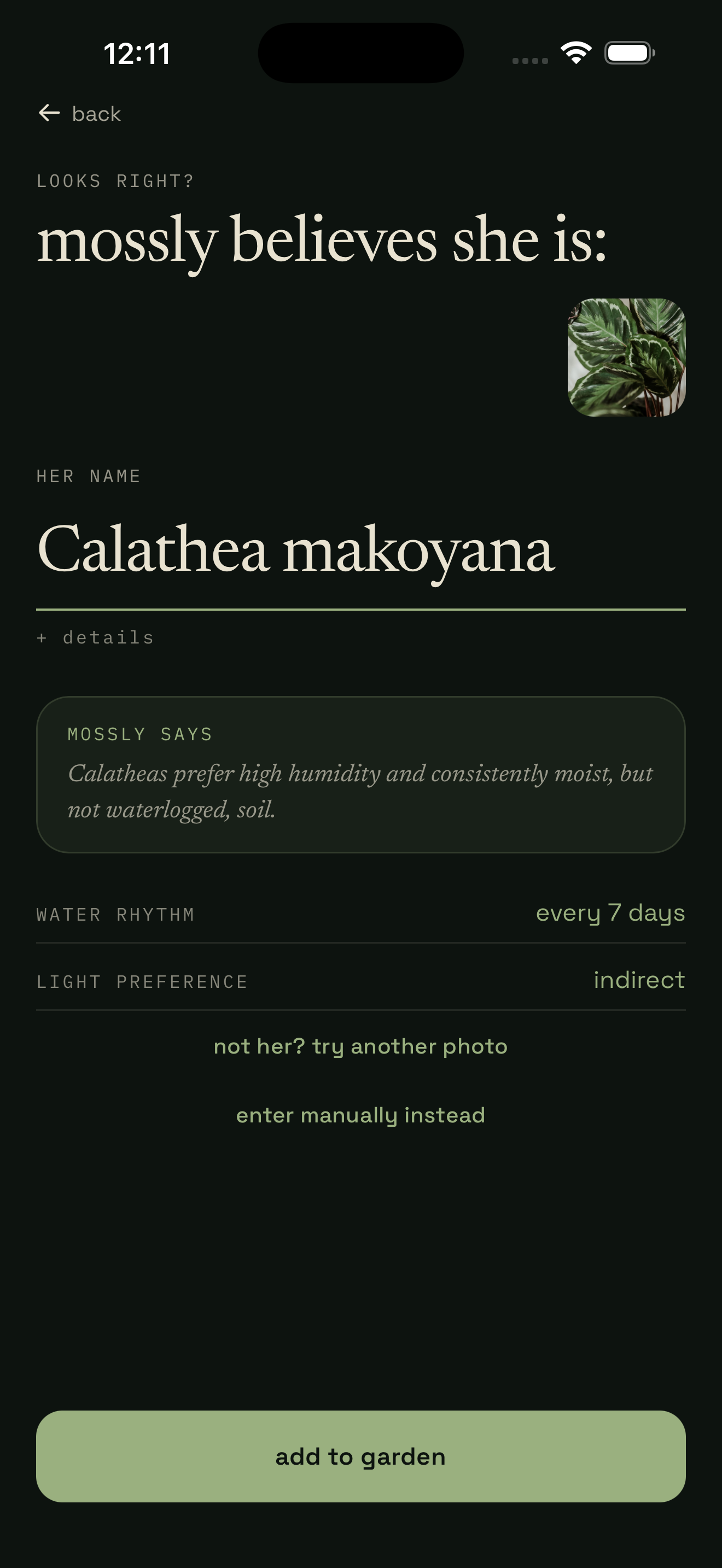 Mossly's identify result: 'mossly believes she is Calathea makoyana,' with a care note, watering rhythm, and light preference.